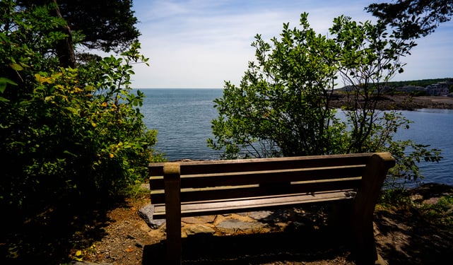 View at Marginal Way