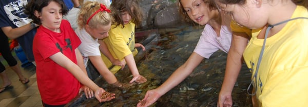 seacoast science center