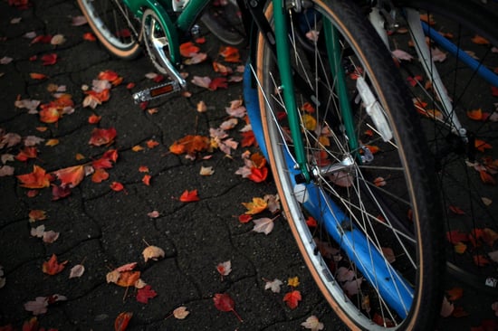 bike in the fall-1