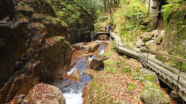 640px-Flume_Brook,_Flume_Gorge,_Lincoln_(494000)_(11849596434)