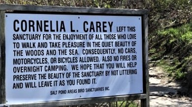 cornelia-carey-sanctuary